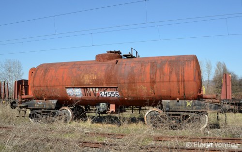 DSC_8016-copy.jpg