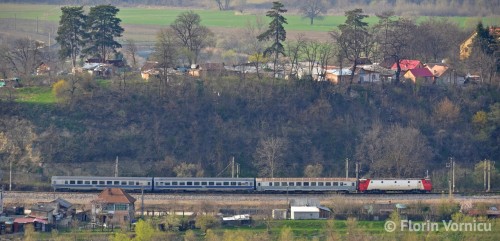 DSC_7199-copy.jpg