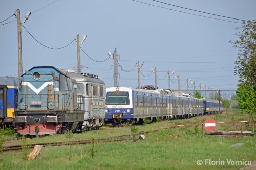 DSC_8105-copy.jpg