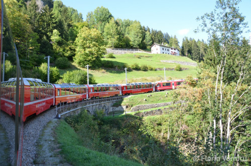 DSC_5756.jpg