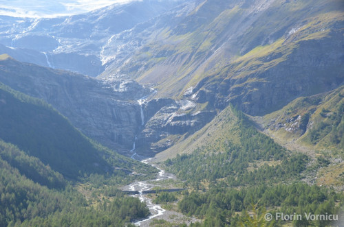 DSC_5796.jpg