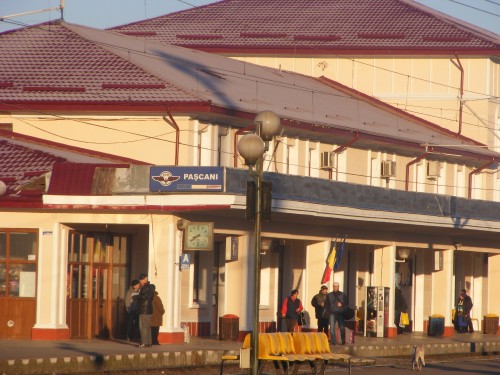 DSCF2291.jpg