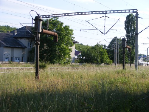 DSCF2667.jpg