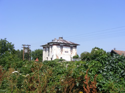 DSCF2857.jpg