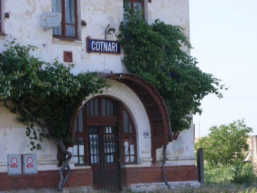 DSCF2860.jpg