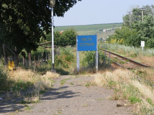 DSCF2861.jpg