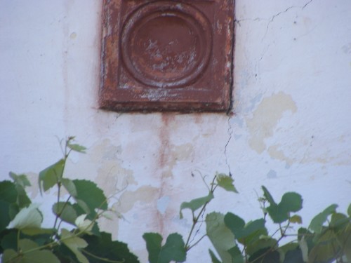 DSCF2865.jpg