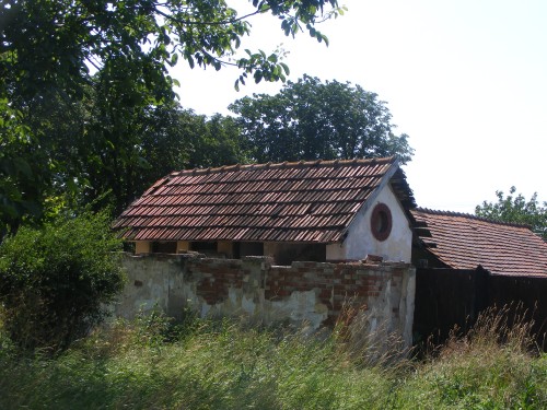 DSCF2867.jpg