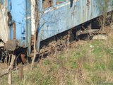 th_DSCF9857.jpg