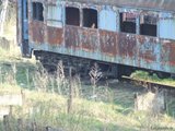 th_DSCF9884.jpg