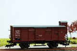 th_DSC_620953264ac3c8fe5bf7.jpg