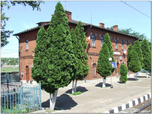 DSCF5677.jpg