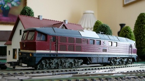 P1030550_Ludmilla.jpg