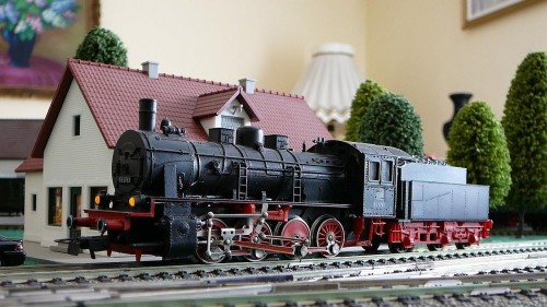 P1030560_BR55.jpg