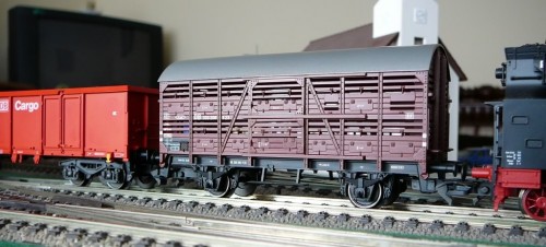 P1060853_vagon_animale.jpg