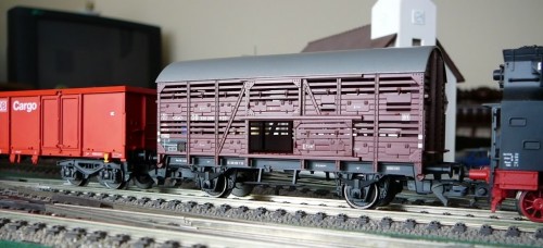 P1060854_vagon_animale.jpg