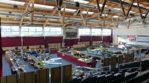 P1150275-sala-expozitie_zpsjbkxa7o7.jpg